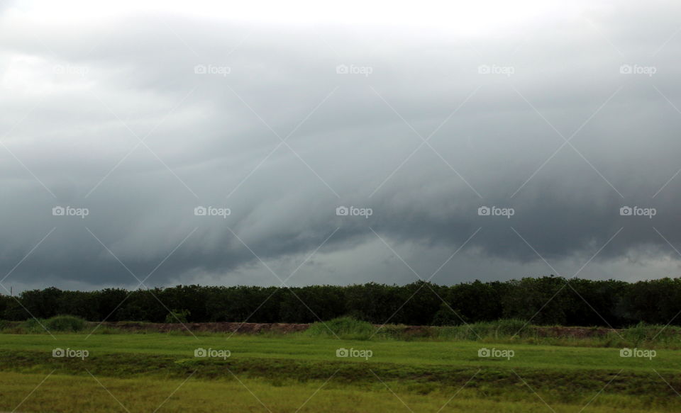 Cool clouds