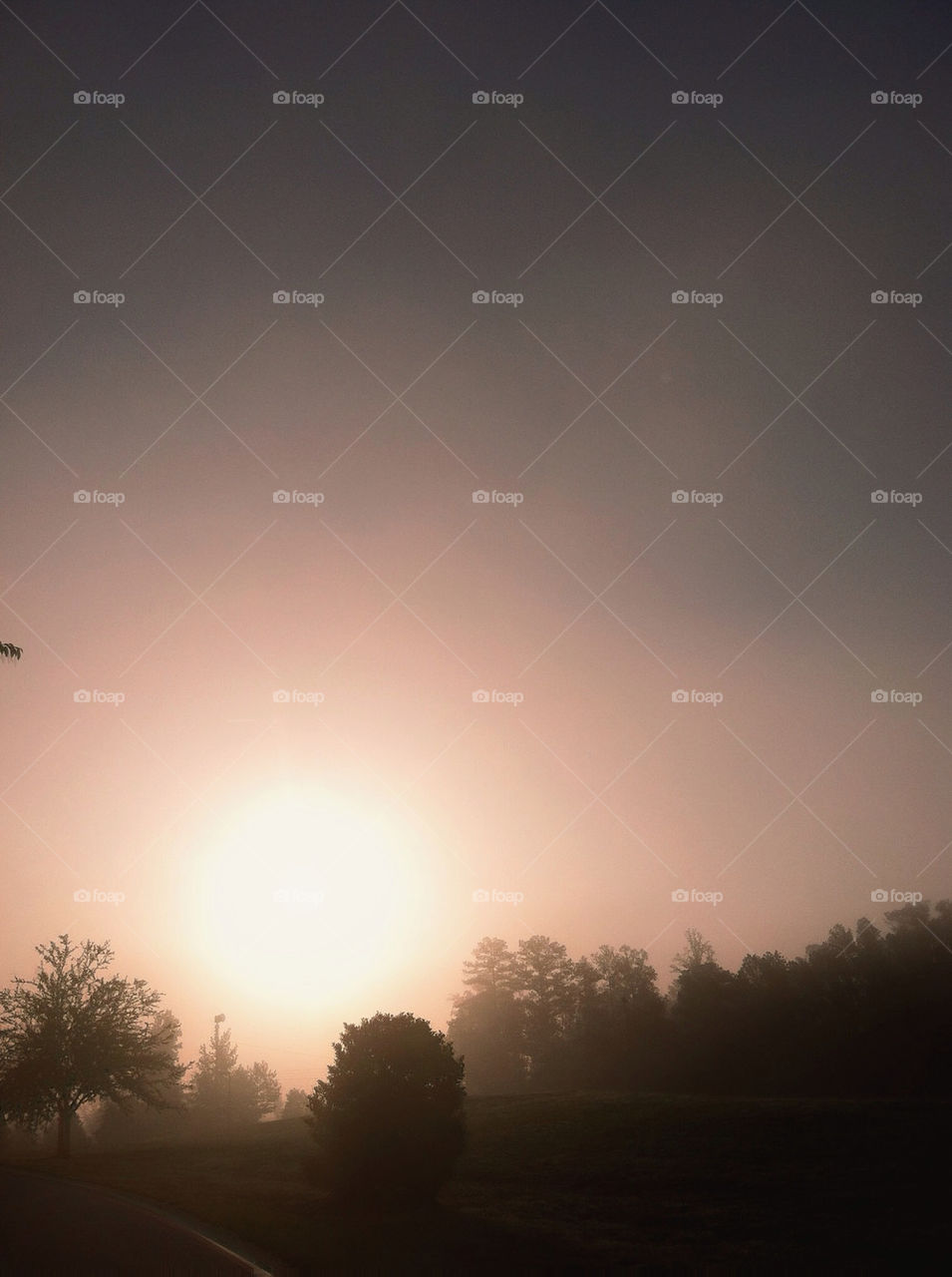 sky china morning tree by creative_bacon