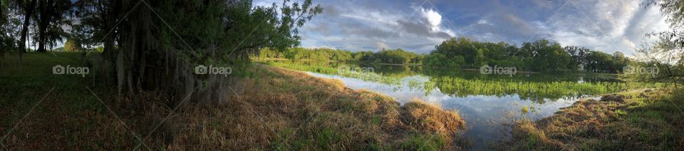 Sunset at gator pond in Florida. Cloudy day with a lot of green year around. 