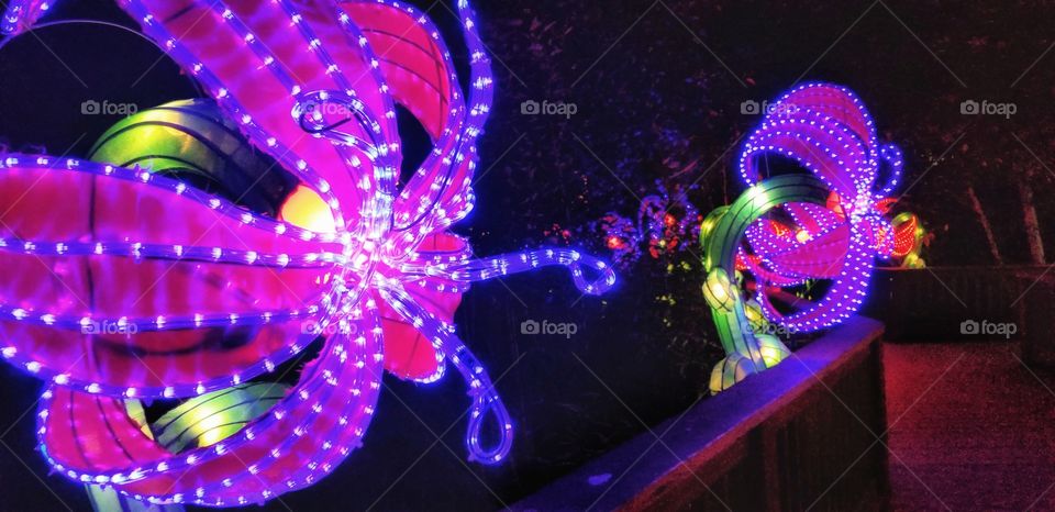 ILLUMINATION of Lights