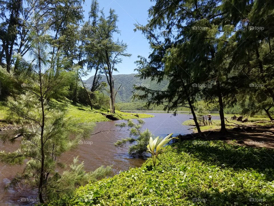 River, Big island