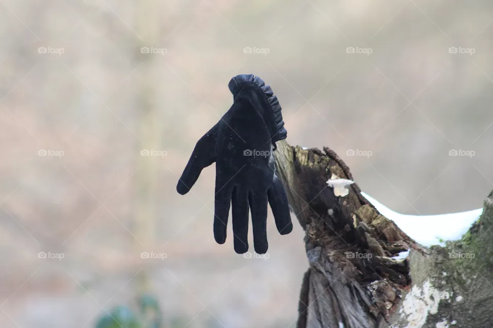 Forgotten glove
