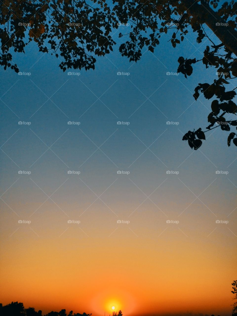 Sunset is the opening music of the night.
The scenic beauty of a village with its silence 🌅.