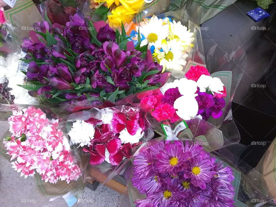 Flowers, Violet white and pink, purple