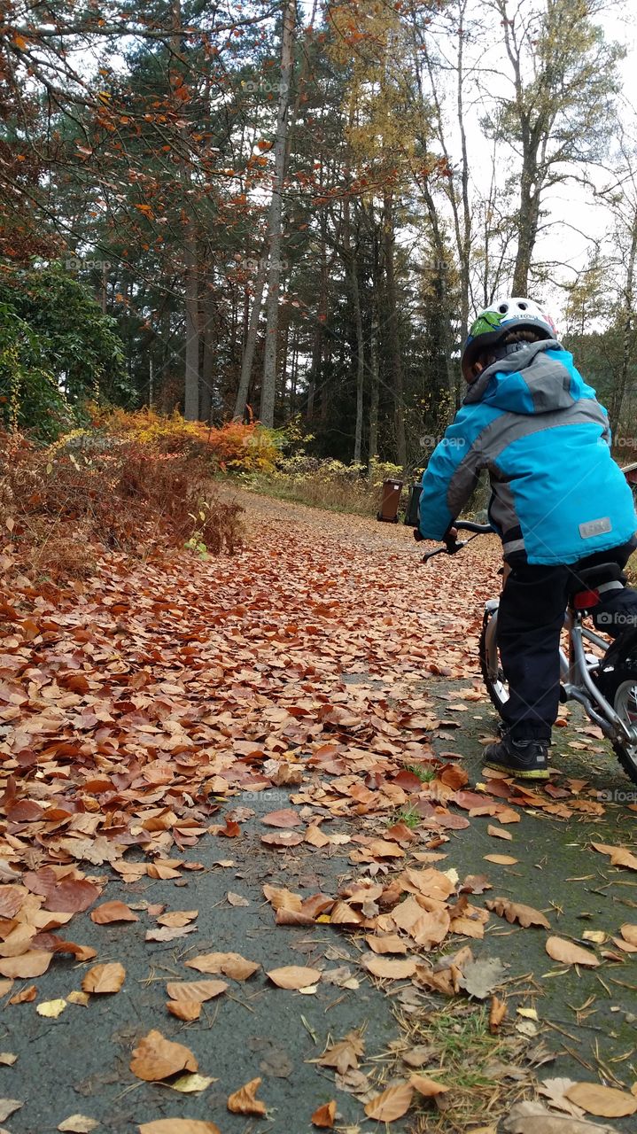 autumn biking