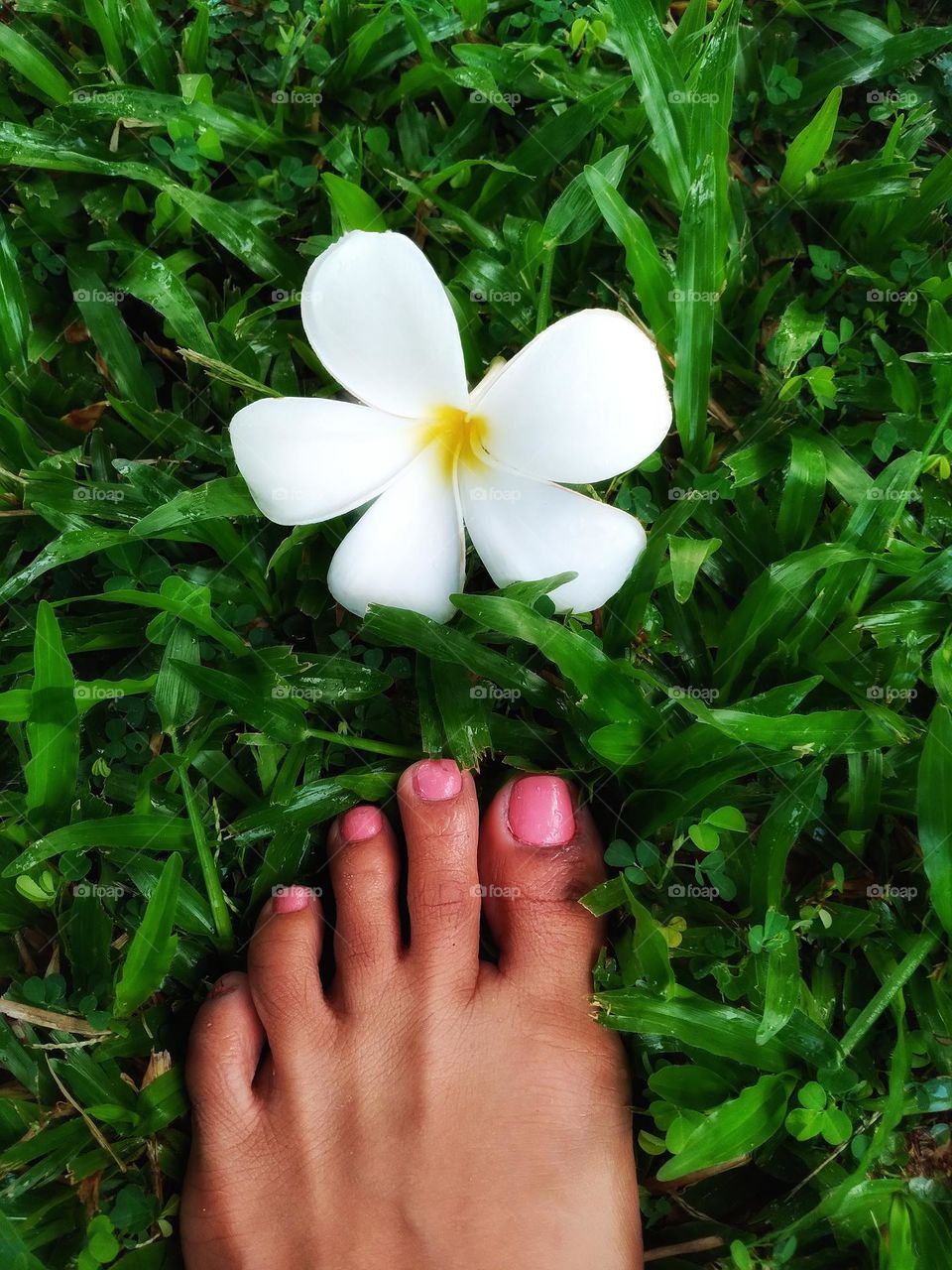 For me the bare feet are grounding. I’m connected to the Earth in a way that I cannot be any other way.