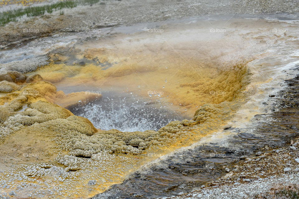 pump Geyser in Yellowstone