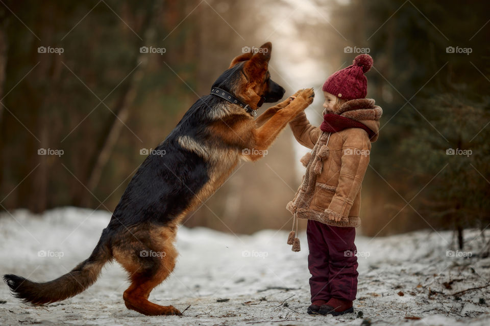 Little girl with German shepherd 6-th months puppy at early spring forest