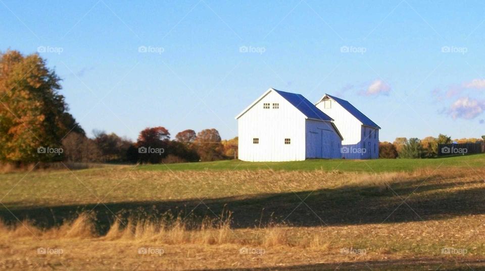 Campus Farm. barns on my work campus