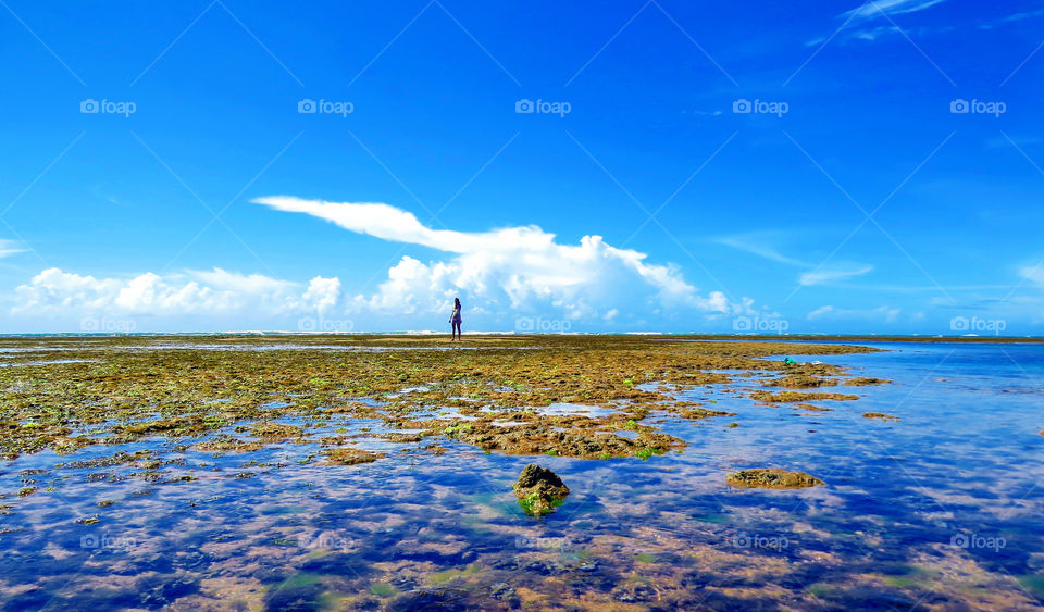 paradise 

more in Getty images , find for Gervanio