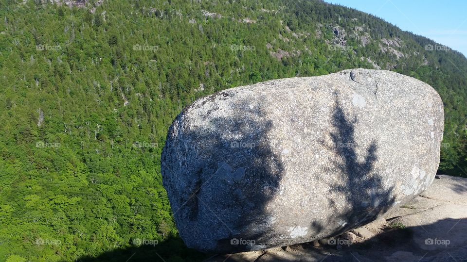 Taking in the summer view. Acadia National Park.