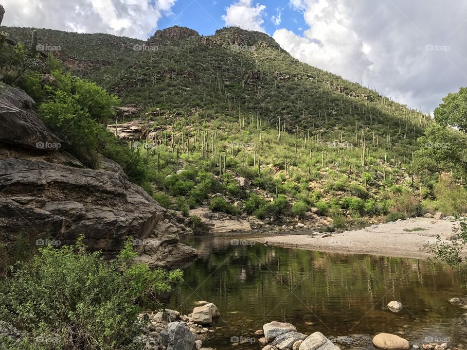 Nature Mountain Landscape - Sabino Canyon in Tucson, Arizona 