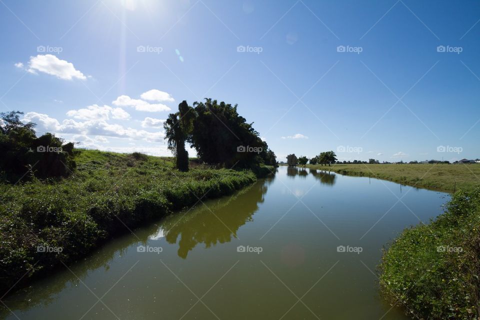 Sunlit Green River