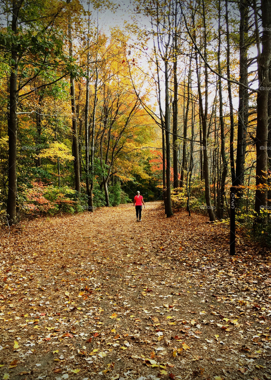 Walking through the trails 
