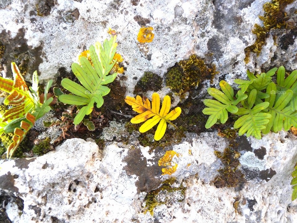 First signs of autumn