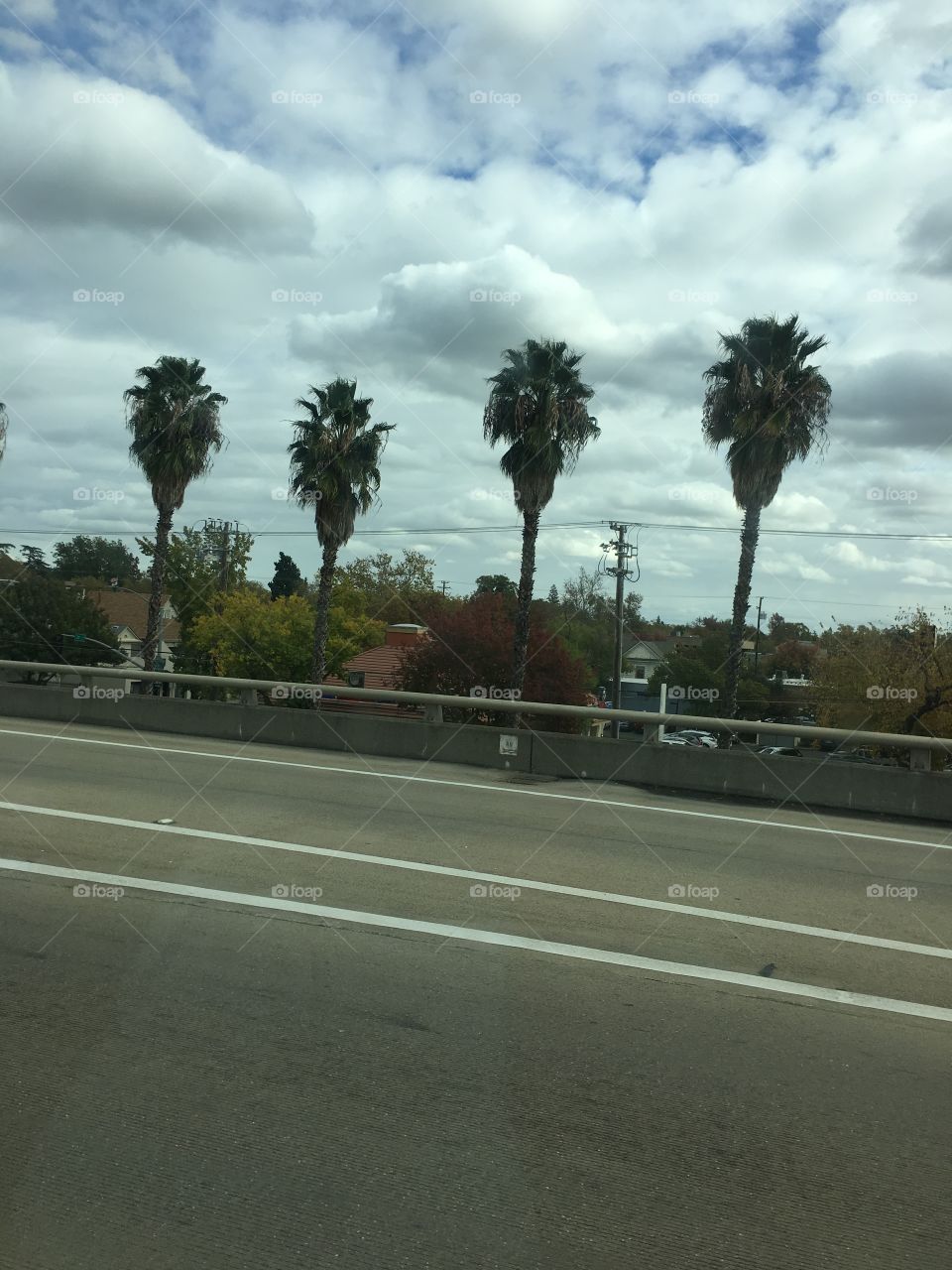 Carretera árboles y nubes 
