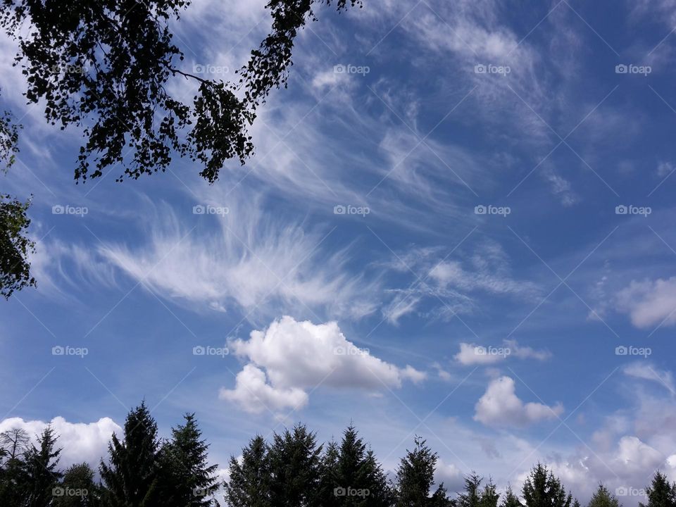 Fluffy clouds in a blue summer sky