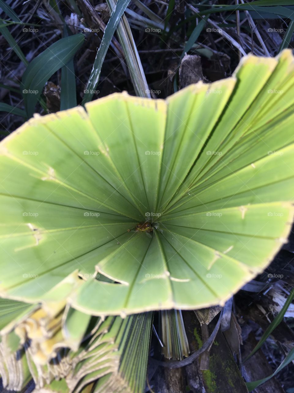 New year, new start. I want to be more in tune with the great outdoors this Jan2018, that’s my greatest New Year Resolution. 