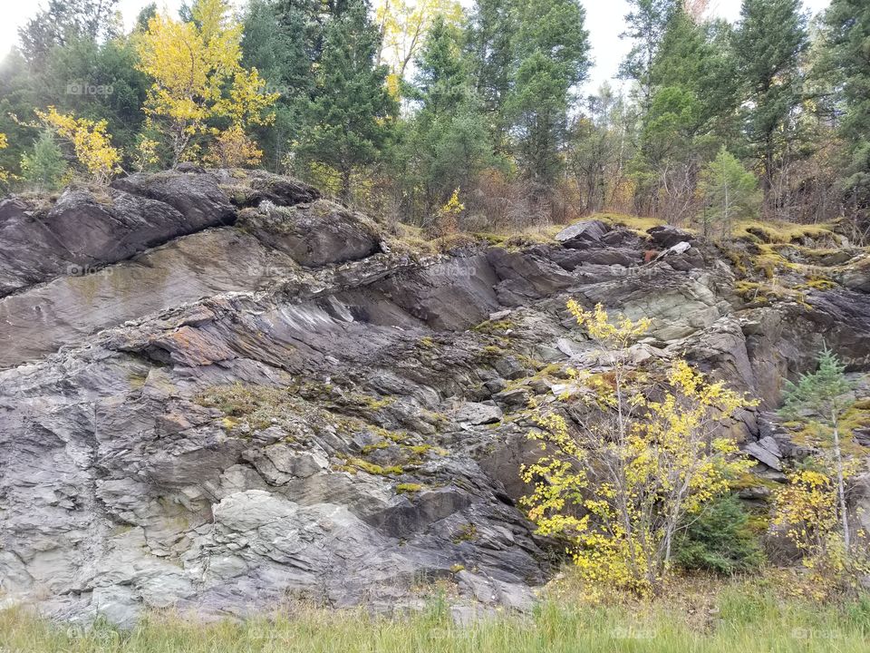 rocks in glacier park