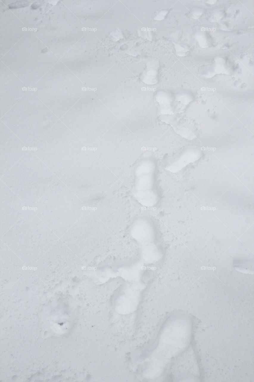 Footprint on snow