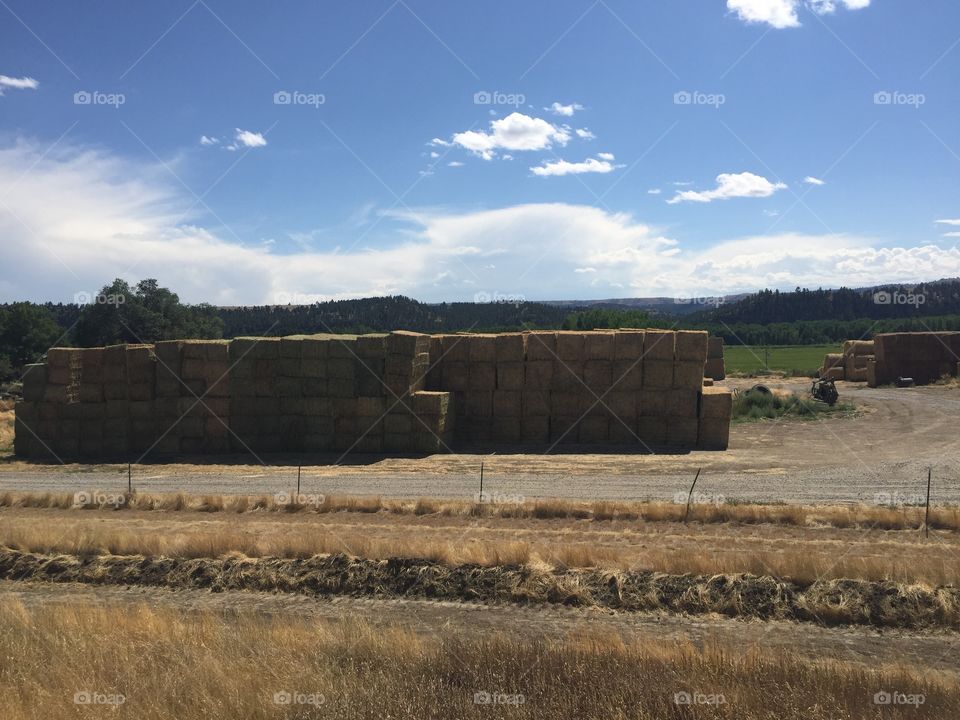 No Person, Agriculture, Landscape, Sky, Outdoors