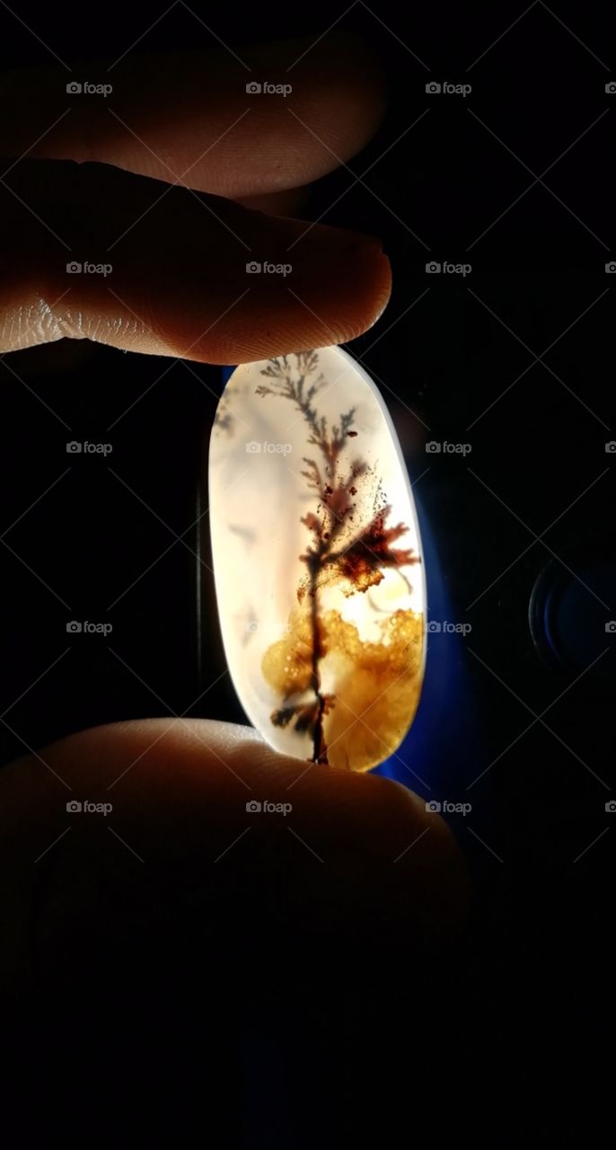A Yemeni agate is called when the Arabs tree