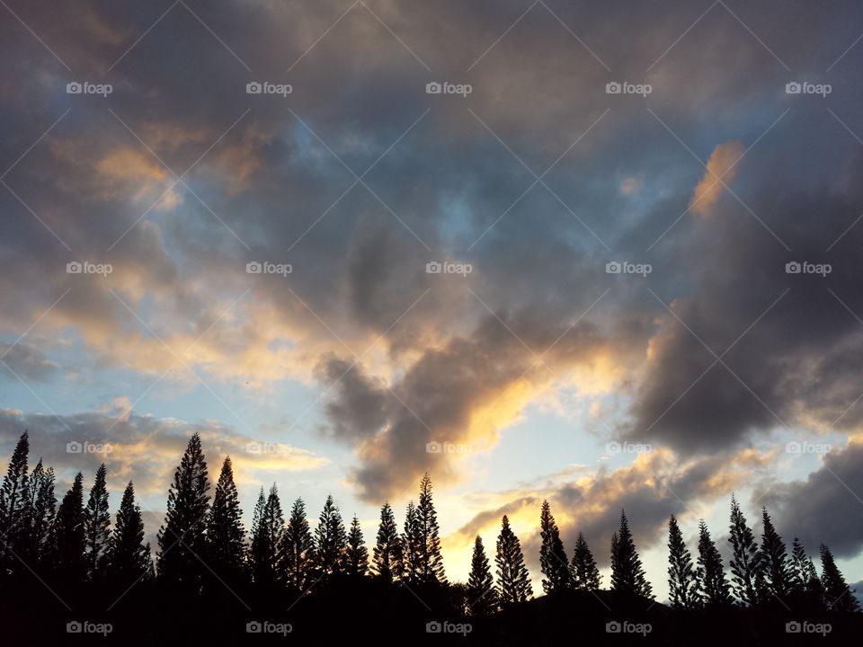 Cloudy sky over forest