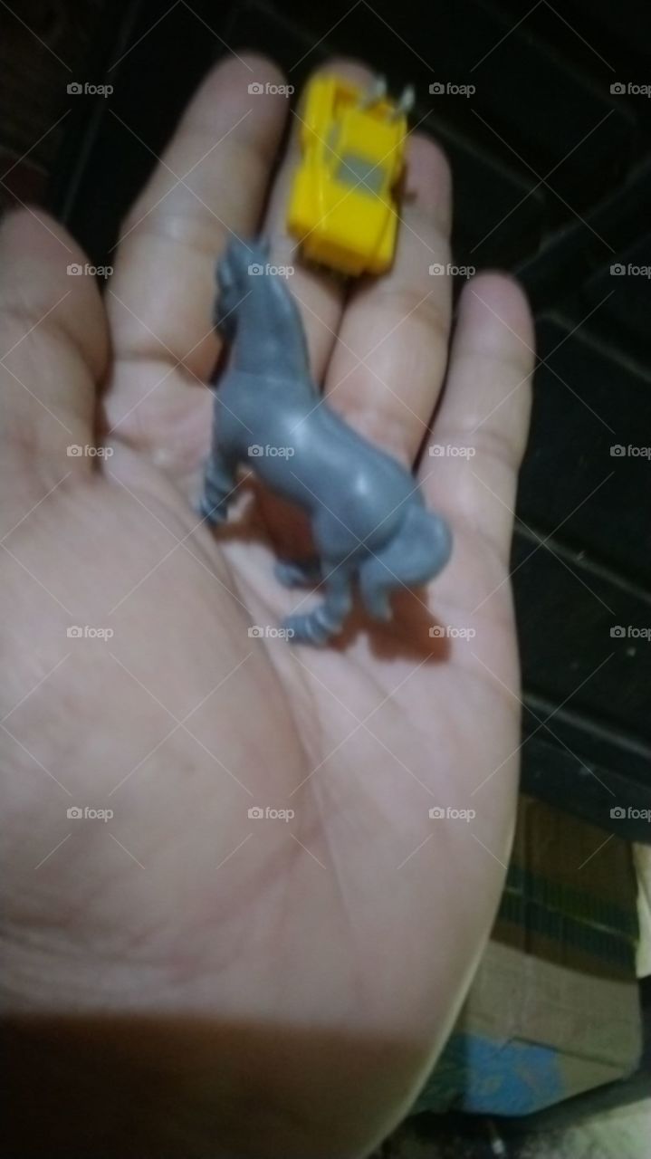 Two ideas in one palm.