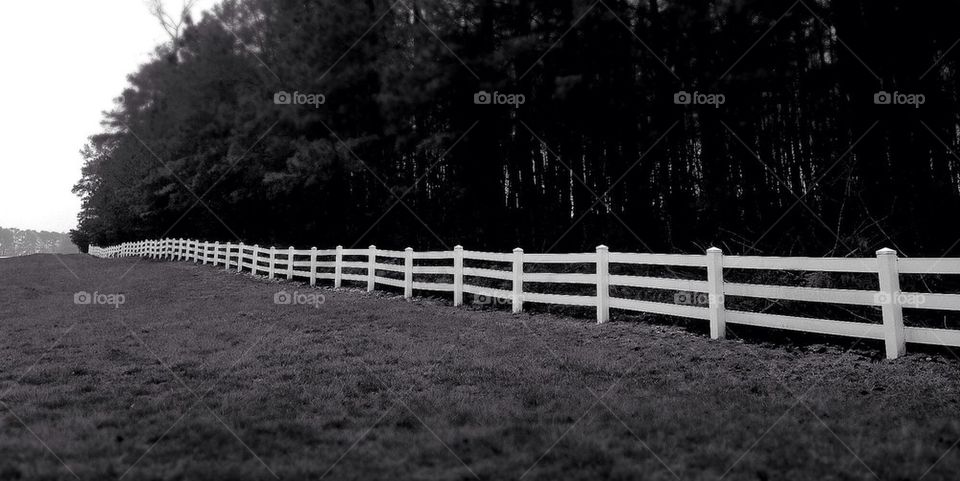 Endless White Country Fence