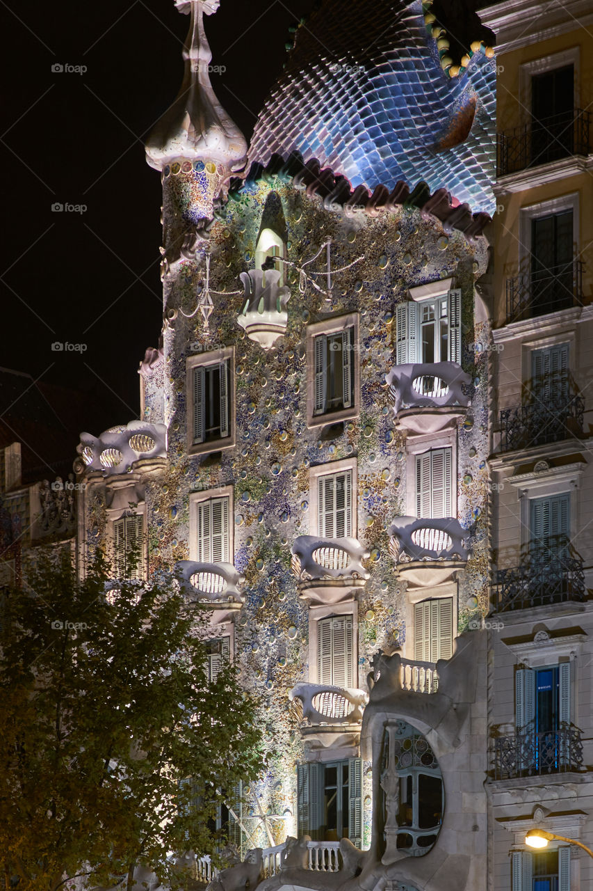 Casa Batllo. Vista Nocturna