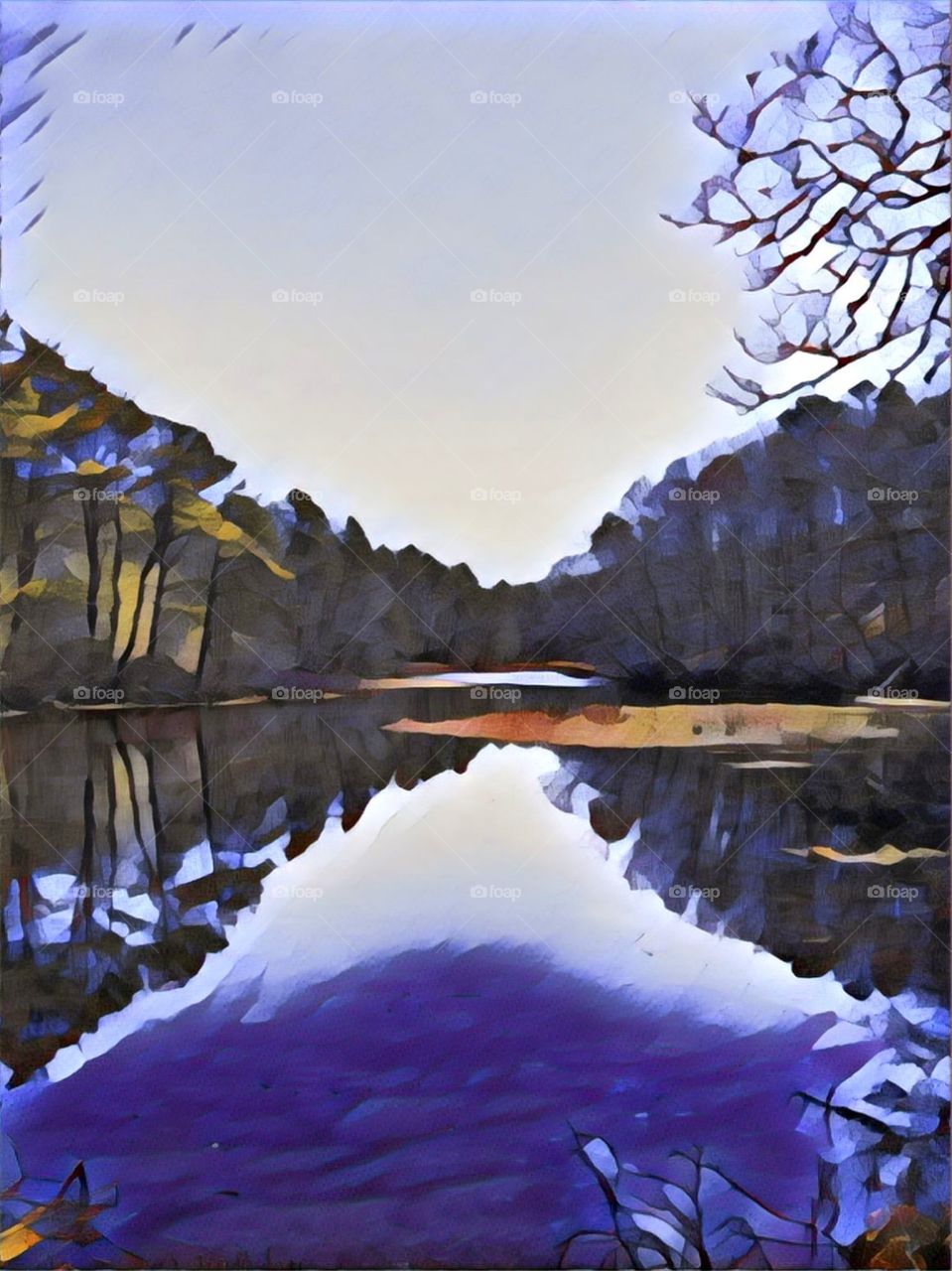 Cape Cod river woodlands