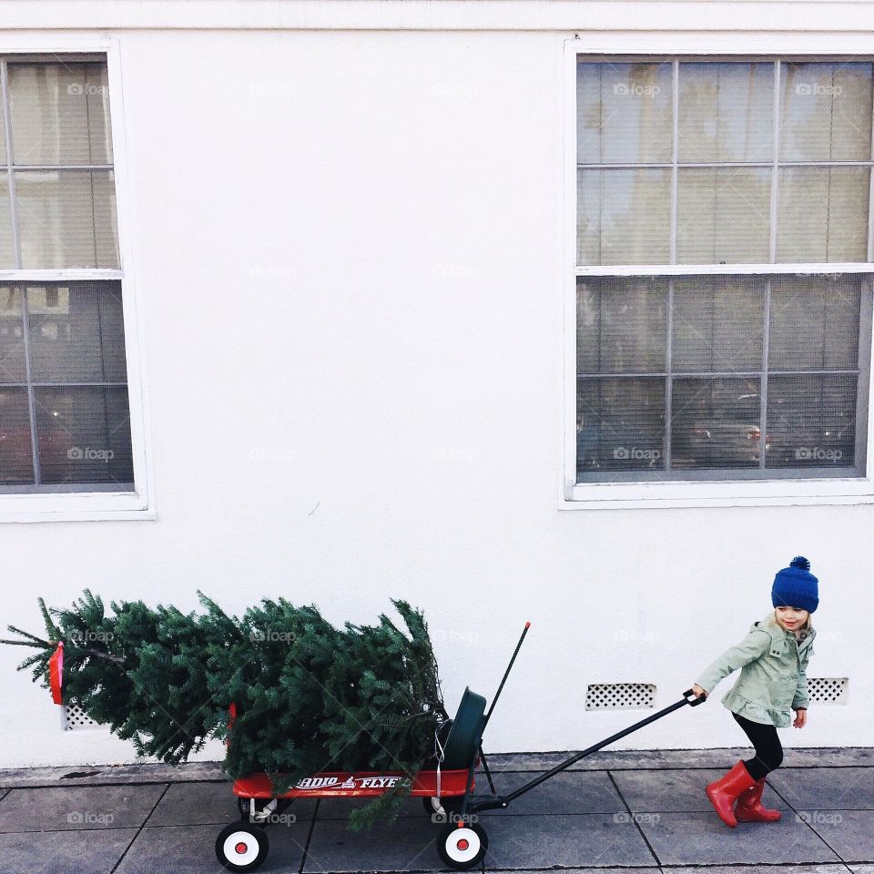 House, People, Window, Building, Business