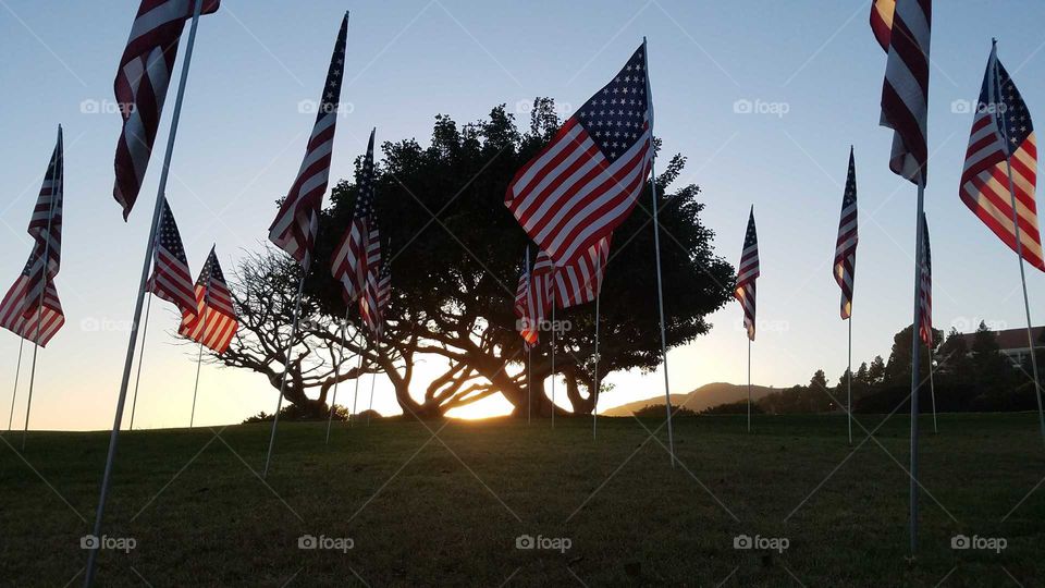 a sea of flags and the sunset