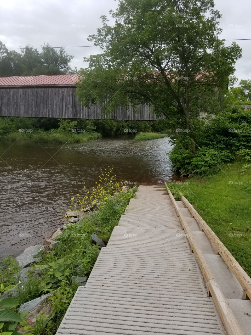 Water, Wood, Tree, River, Nature