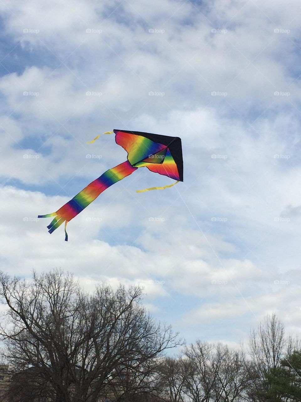 Kite in the wind