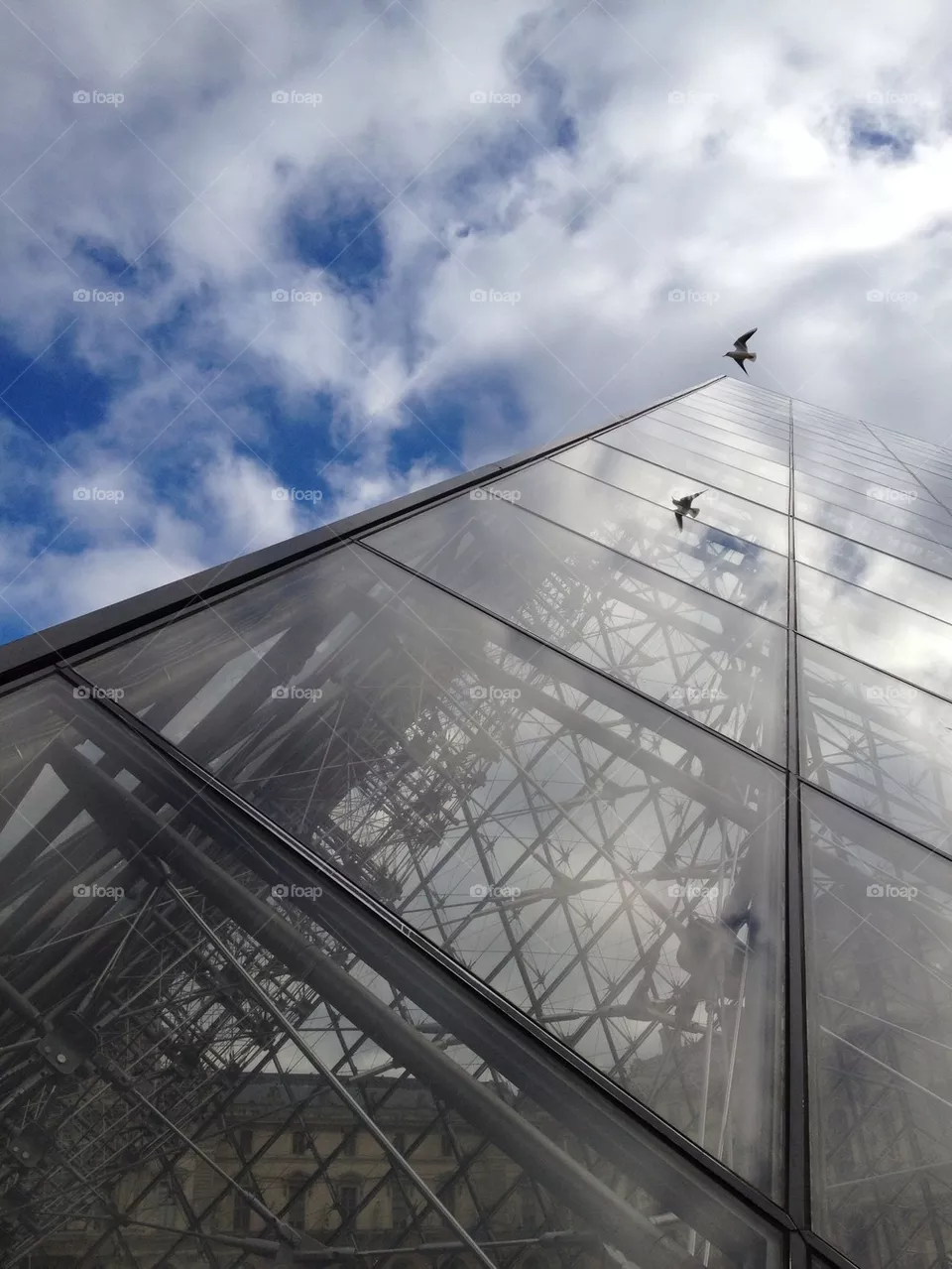 The Louvre 