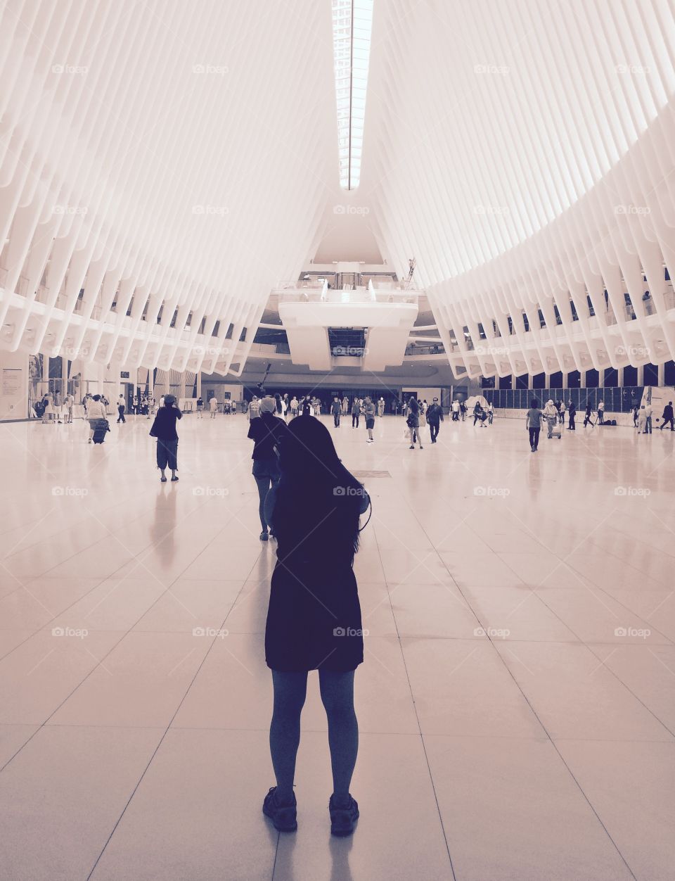 Photographing the Oculus