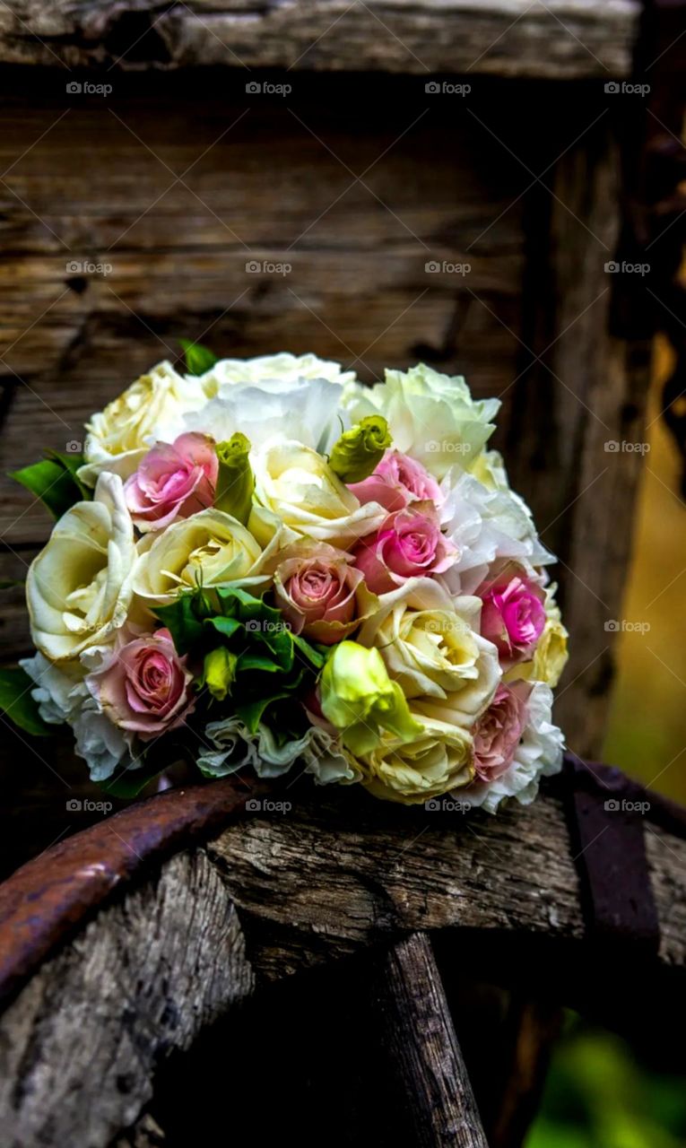 flower bunch different types of flowers looks like pink white white colour flower on bullock card wheel