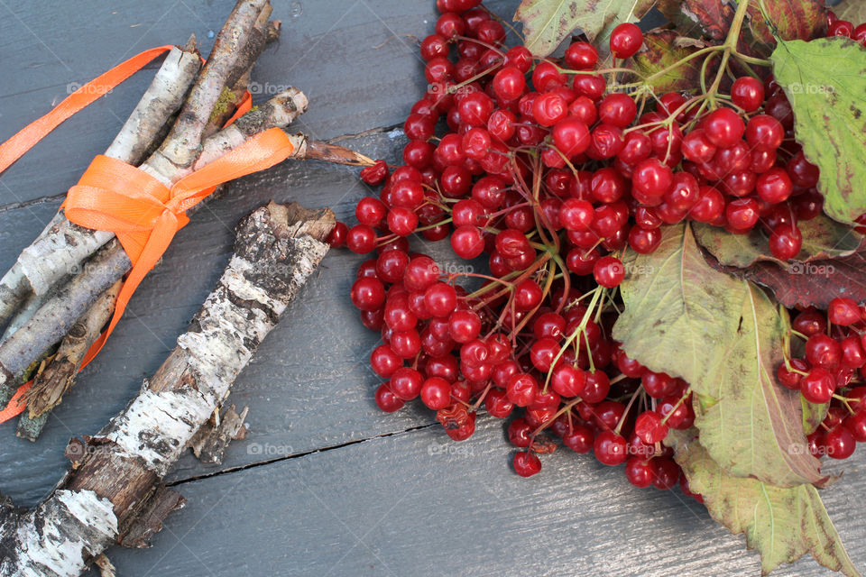 Vegetables, Halloween, pumpkin, corn, harvest, fertility, agriculture, food, cones, forest, birch branches