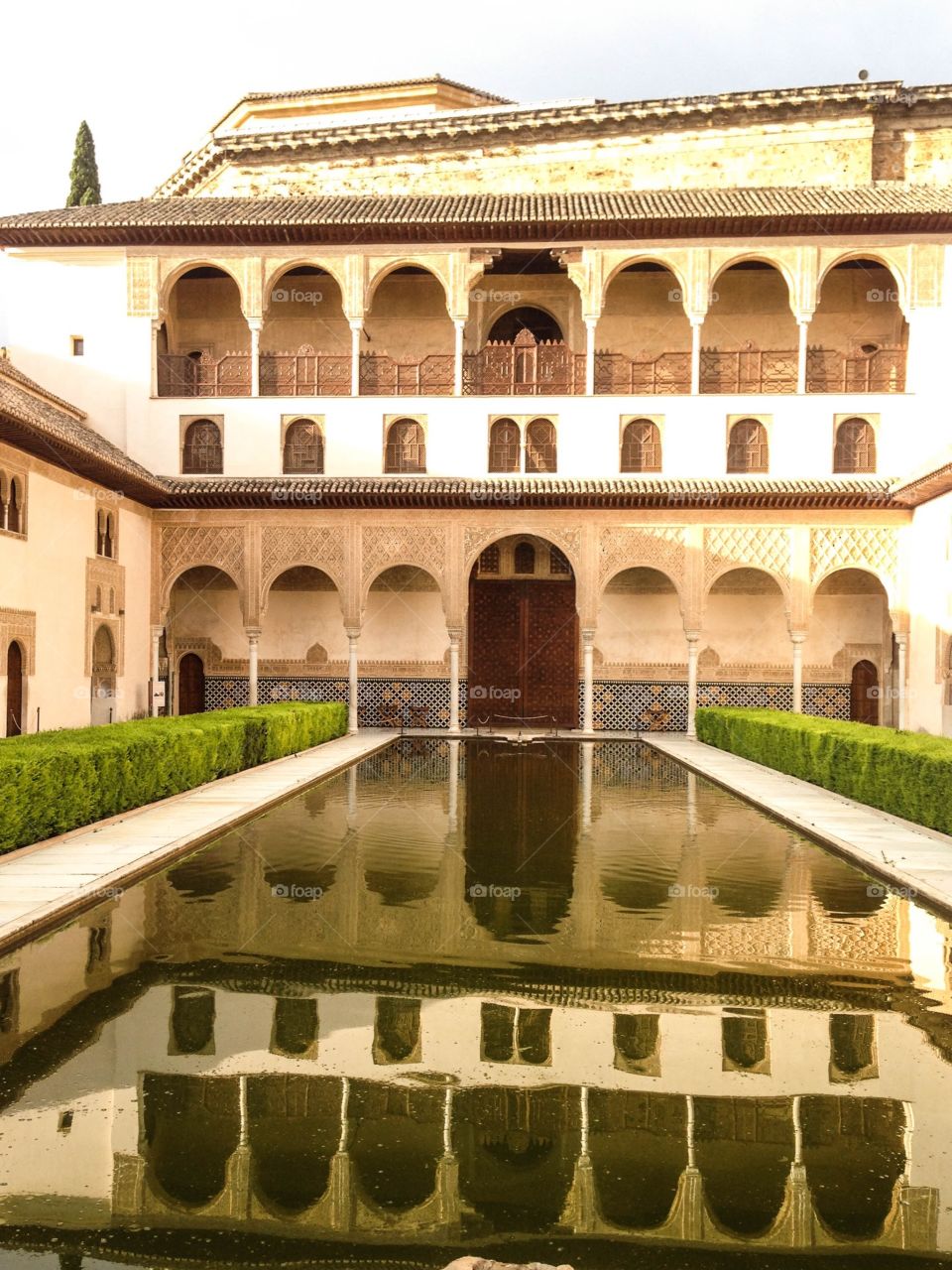 The Alhambra
