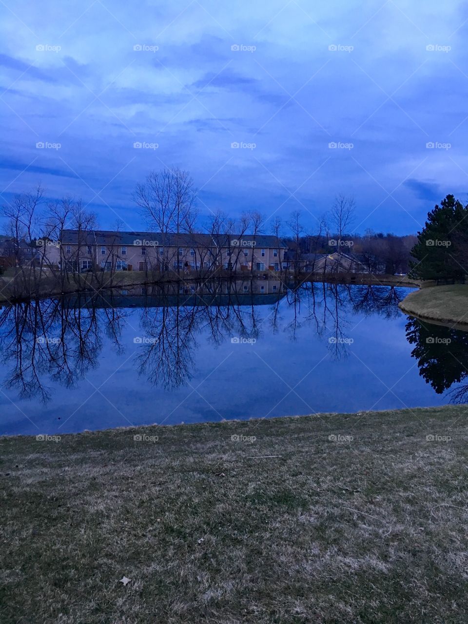 Pond at dusk