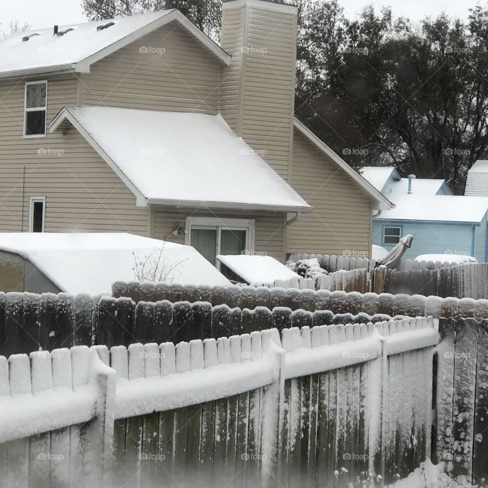 Cold snow on fence and homes