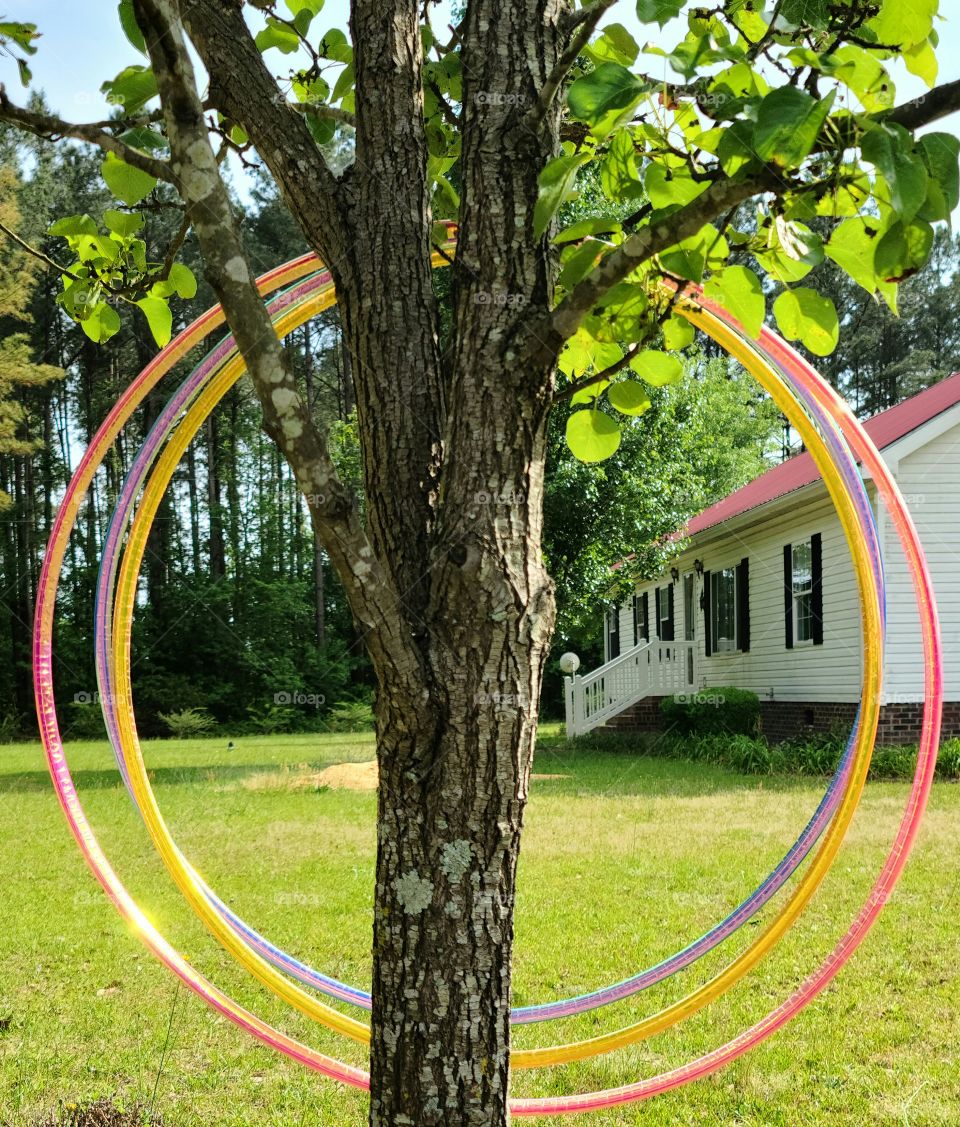 Seeing in Circles - Viendo en Círculos