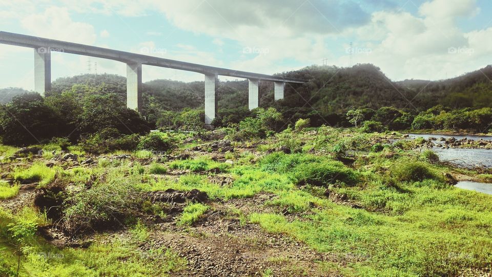Big Bridge Dom Pedro II