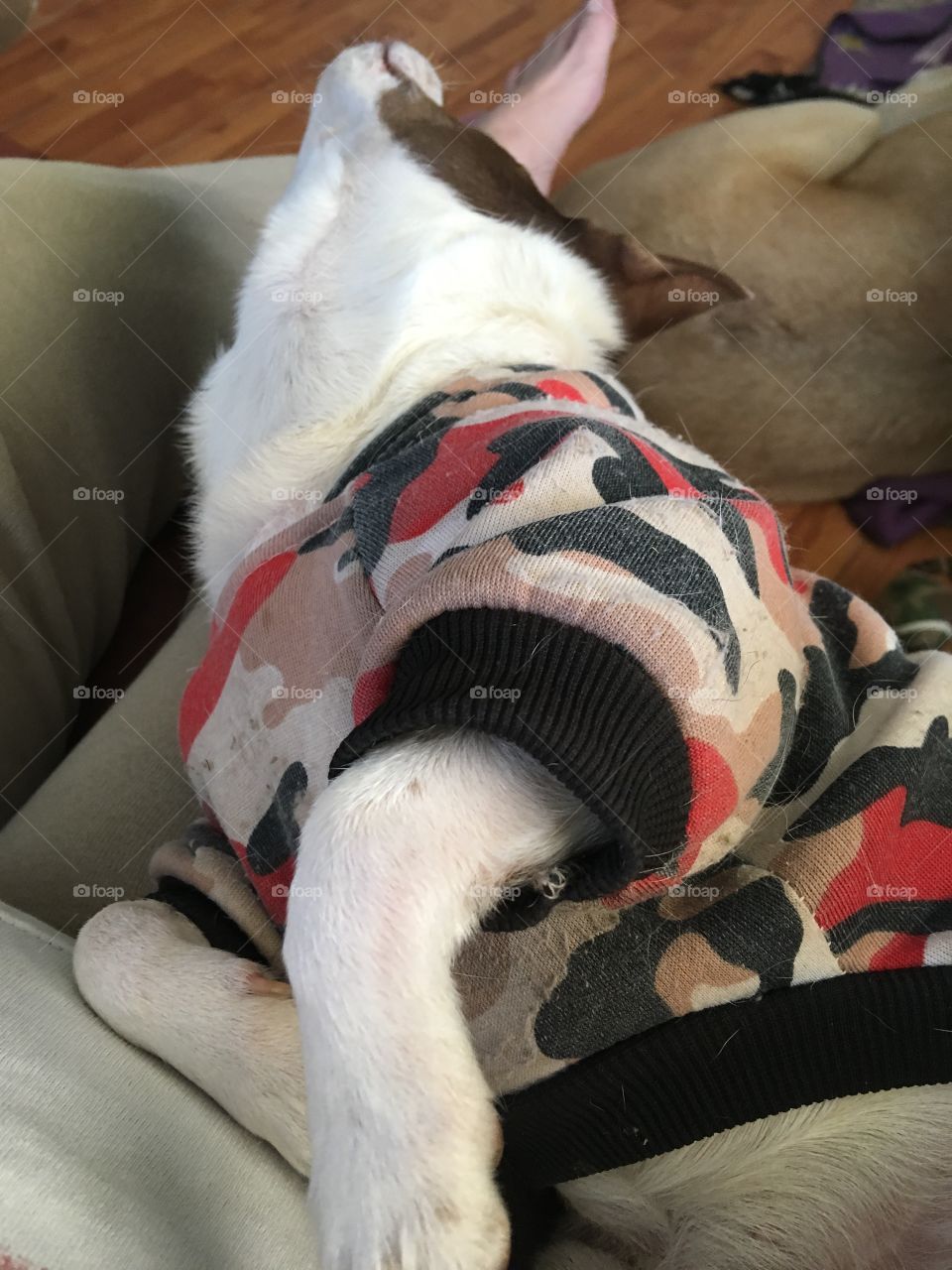 Ahh I’ve had such a hard day think I’ll just lay my head back for a minute. So tired!