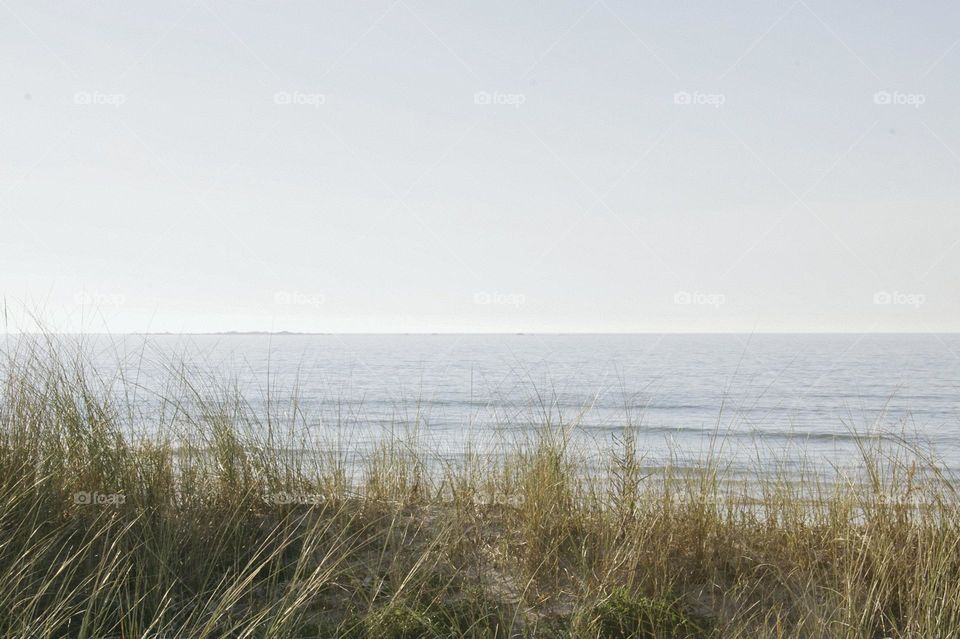 calmness of the beach