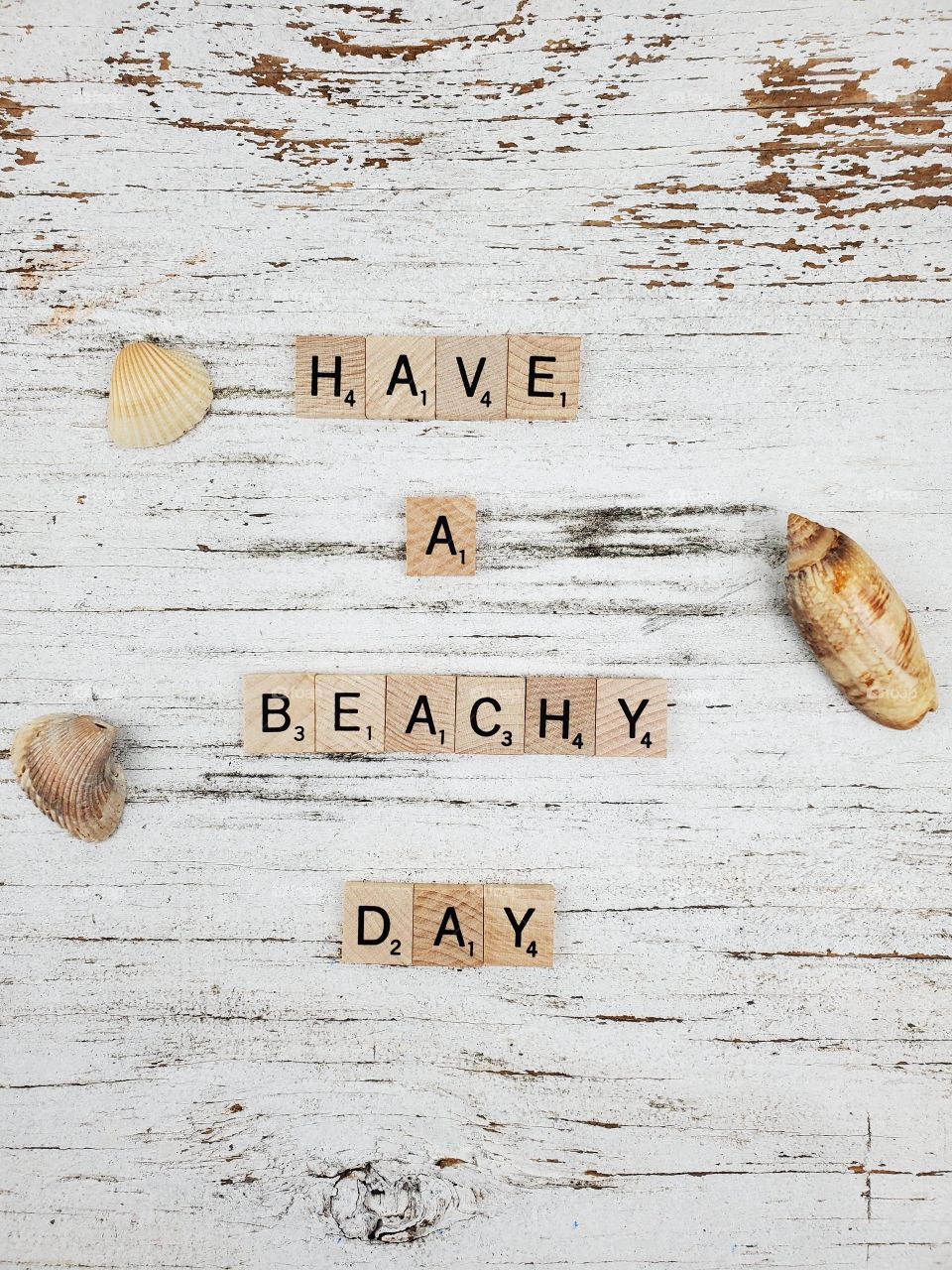 Square wooden word have a beach day and seashells on a rustic white background 