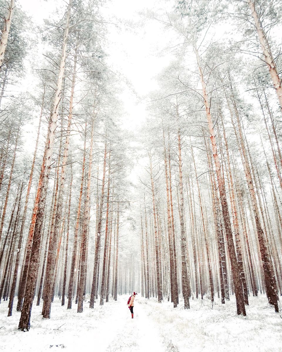 We live in a big big world 🌲