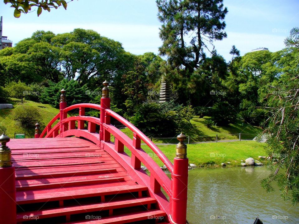 Japanese garden, buenos aires
