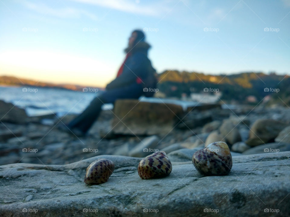 A young girl resting on the coast and looking at the sea against the background of three symmetrical seashells.